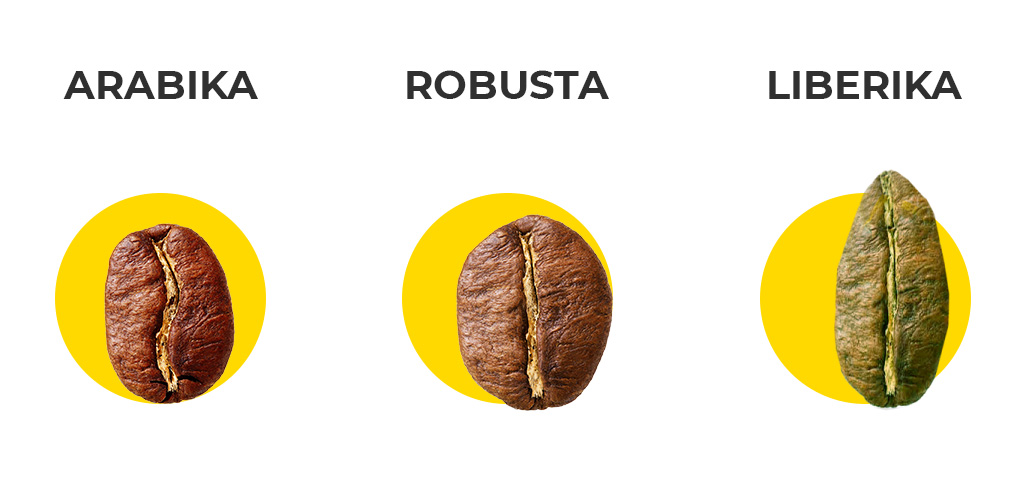 Arabica, Robusta, Liberica