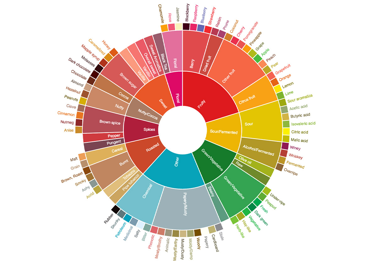 Coffee Flavour Wheel