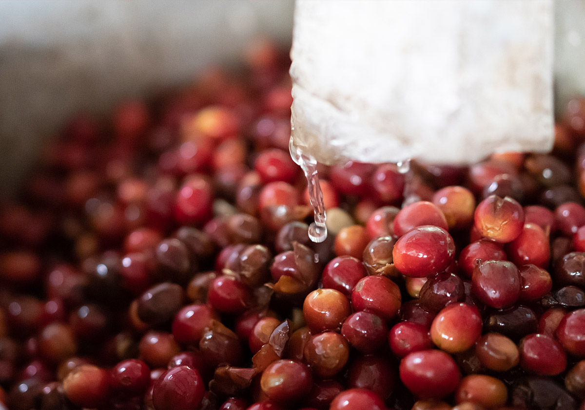 Wet processing