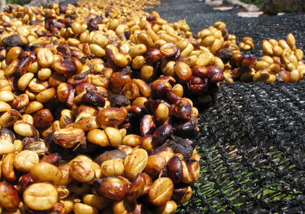 Honey processing method